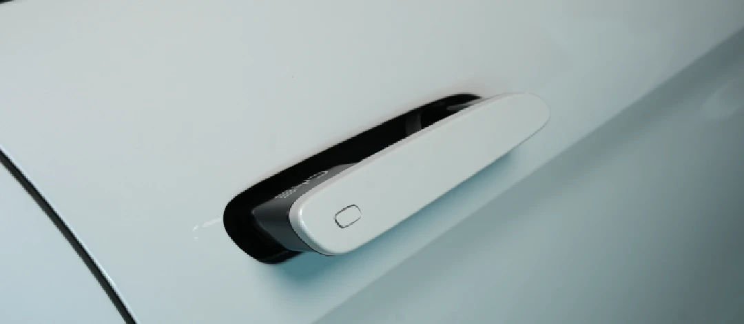 sealion7-exterior-4